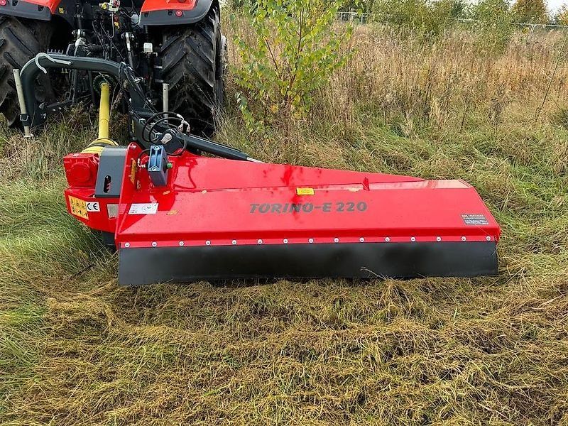 Omarv Böschungs Seiten Schlegel