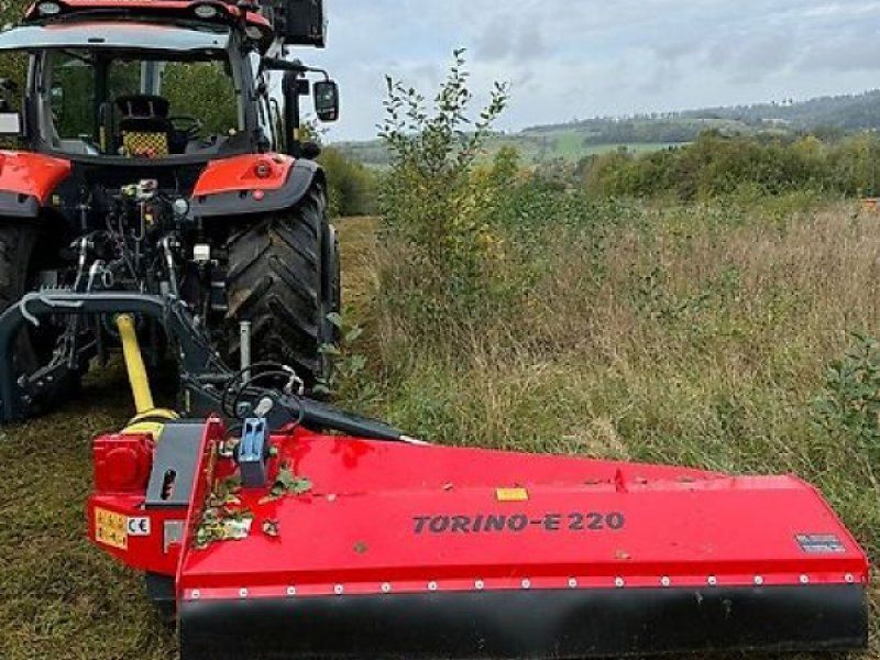 Omarv Böschungs Seiten Schlegel