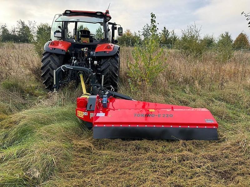 Omarv Böschungs Schlegel Seiten