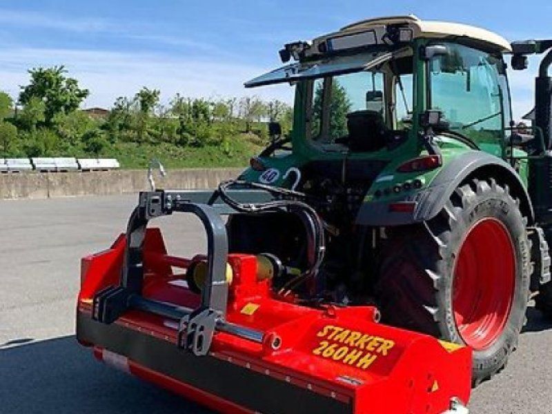 Omarv Cuneo Starker Schlegel  Forst