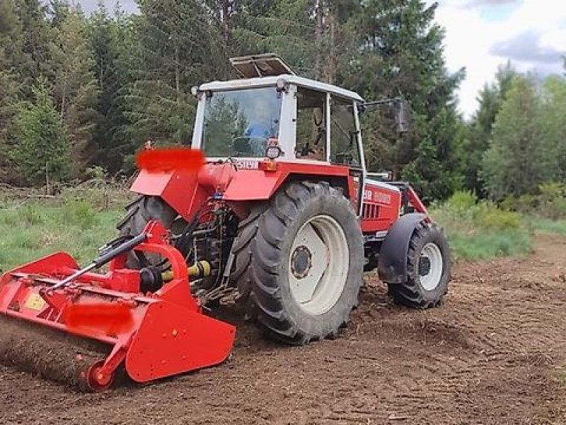 Omarv Forst Schlegel