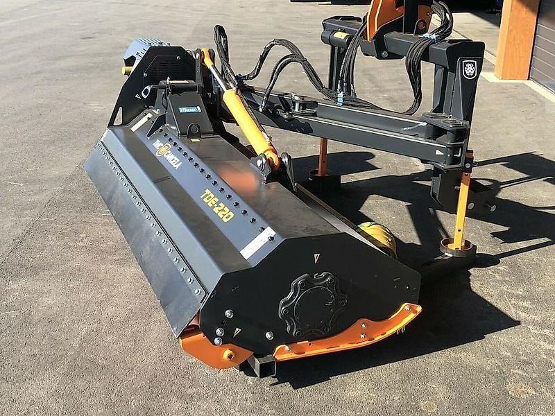 TMC Cancela Schlegel   Seiten