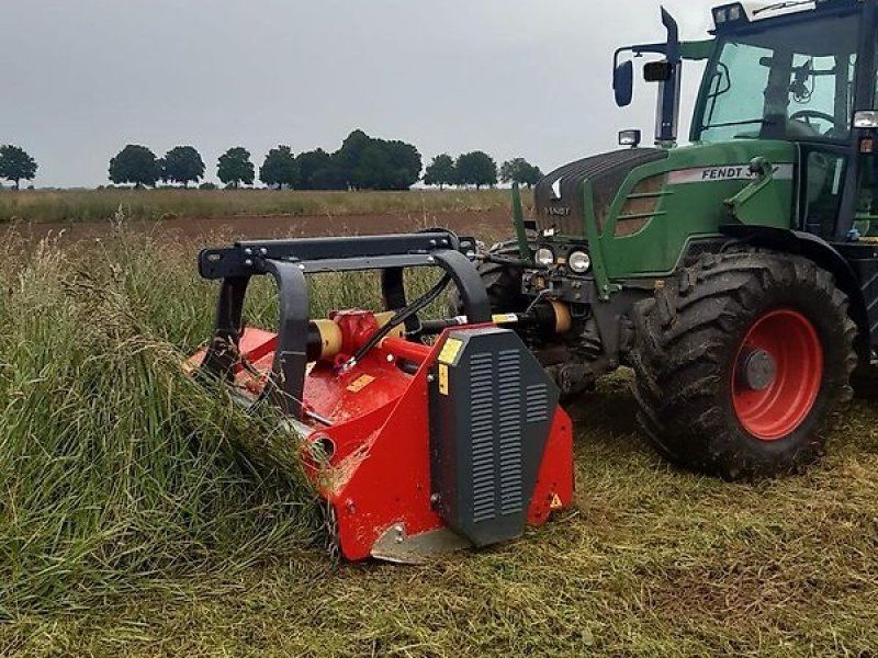 Omarv Schlegel   Front Heck