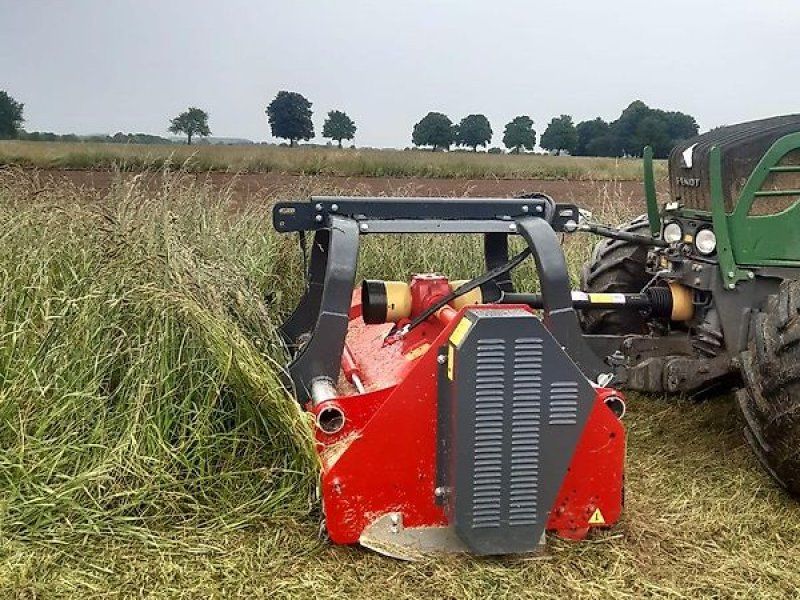 Omarv Schlegel   Front Heck