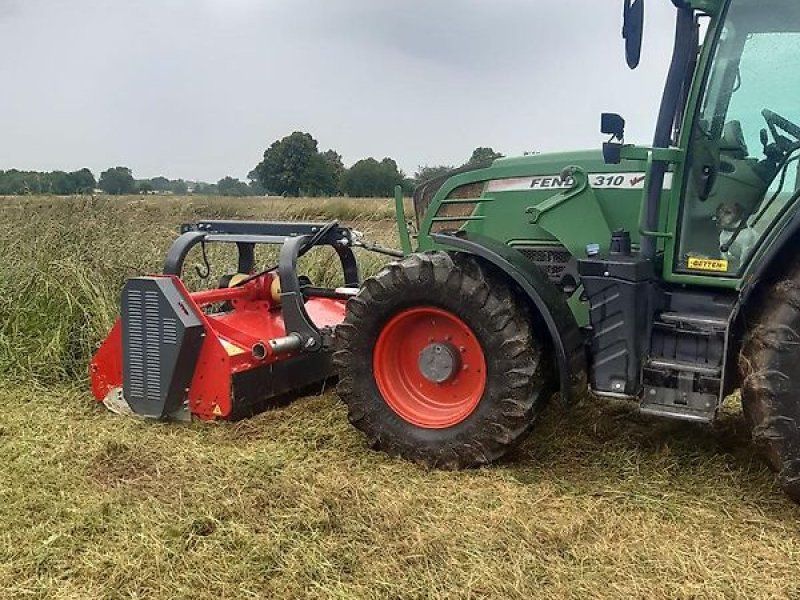 Omarv Schlegel   Front Heck