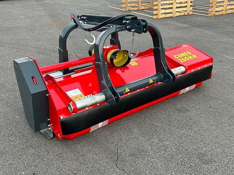 Omarv Schlegel   Front Cuneo 280HH