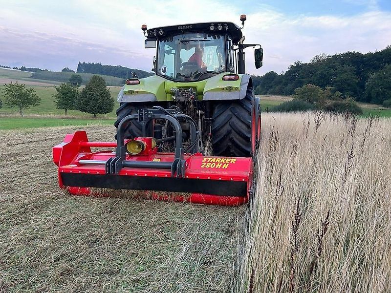 Omarv Schlegel  Forst Cuneo Starker