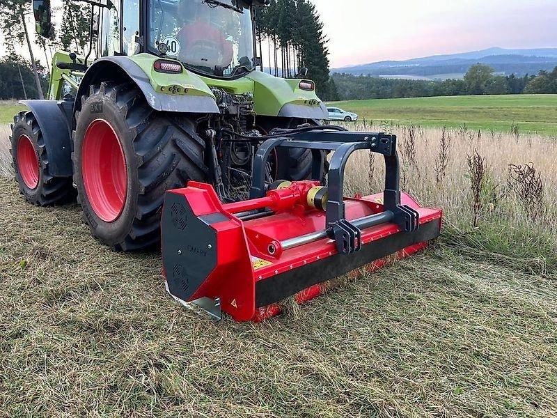 Omarv Schlegel  Forst Cuneo Starker