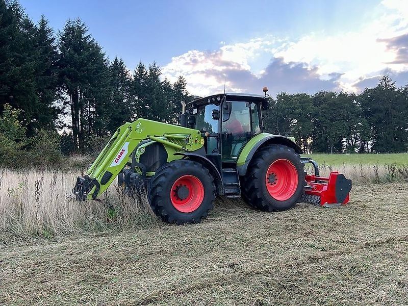 Omarv Schlegel  Forst Cuneo Starker