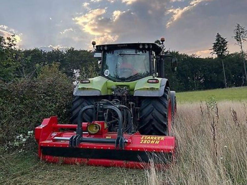 Omarv Schlegel  Forst Cuneo Starker