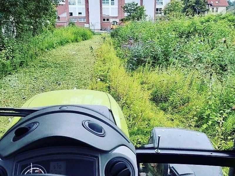 Omarv Schlegel  Seiten Böschungs