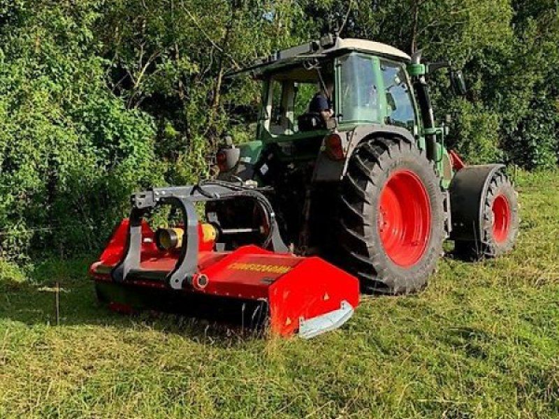 Omarv Schlegel  Forst  Cuneo 260HH