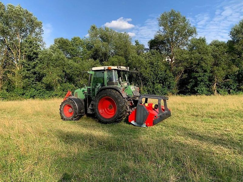 Omarv Schlegel  Forst  Cuneo 260HH