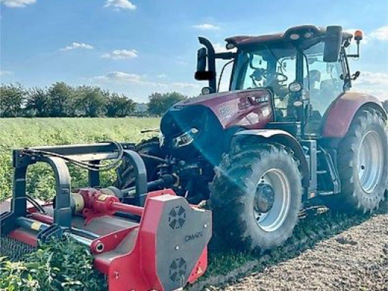 Omarv Schlegel Forst  Cuneo Starker 280 HH