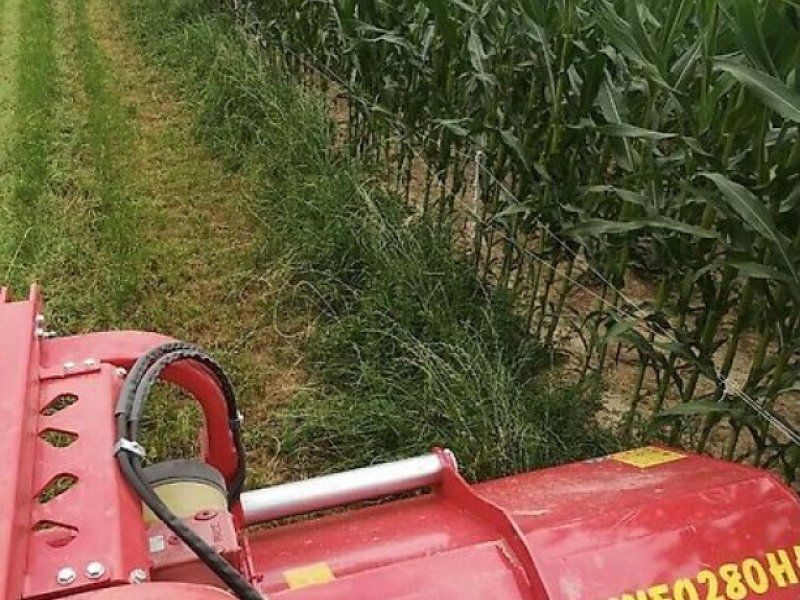 Omarv Schlegel Mäher