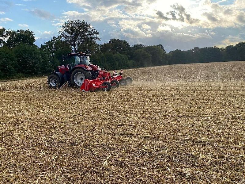 Omarv Schlegel   Flächen