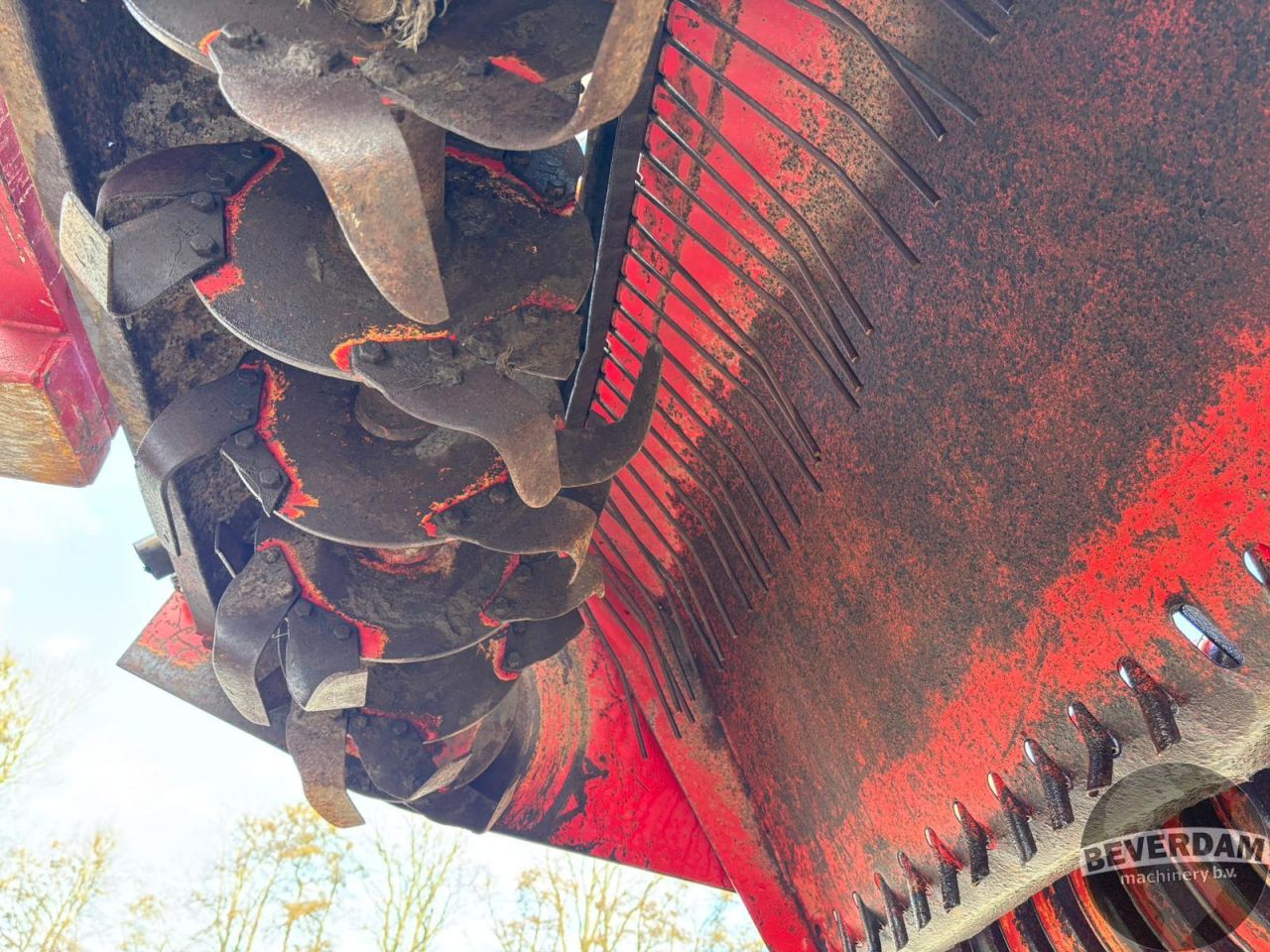 Lely overtop zaaifrees