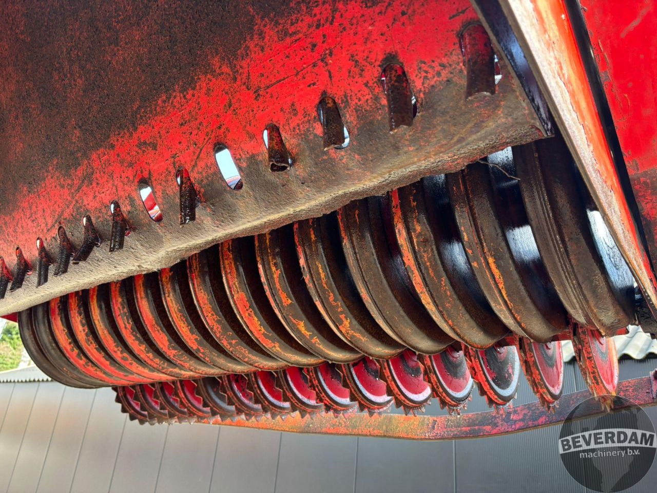 Lely overtop zaaifrees