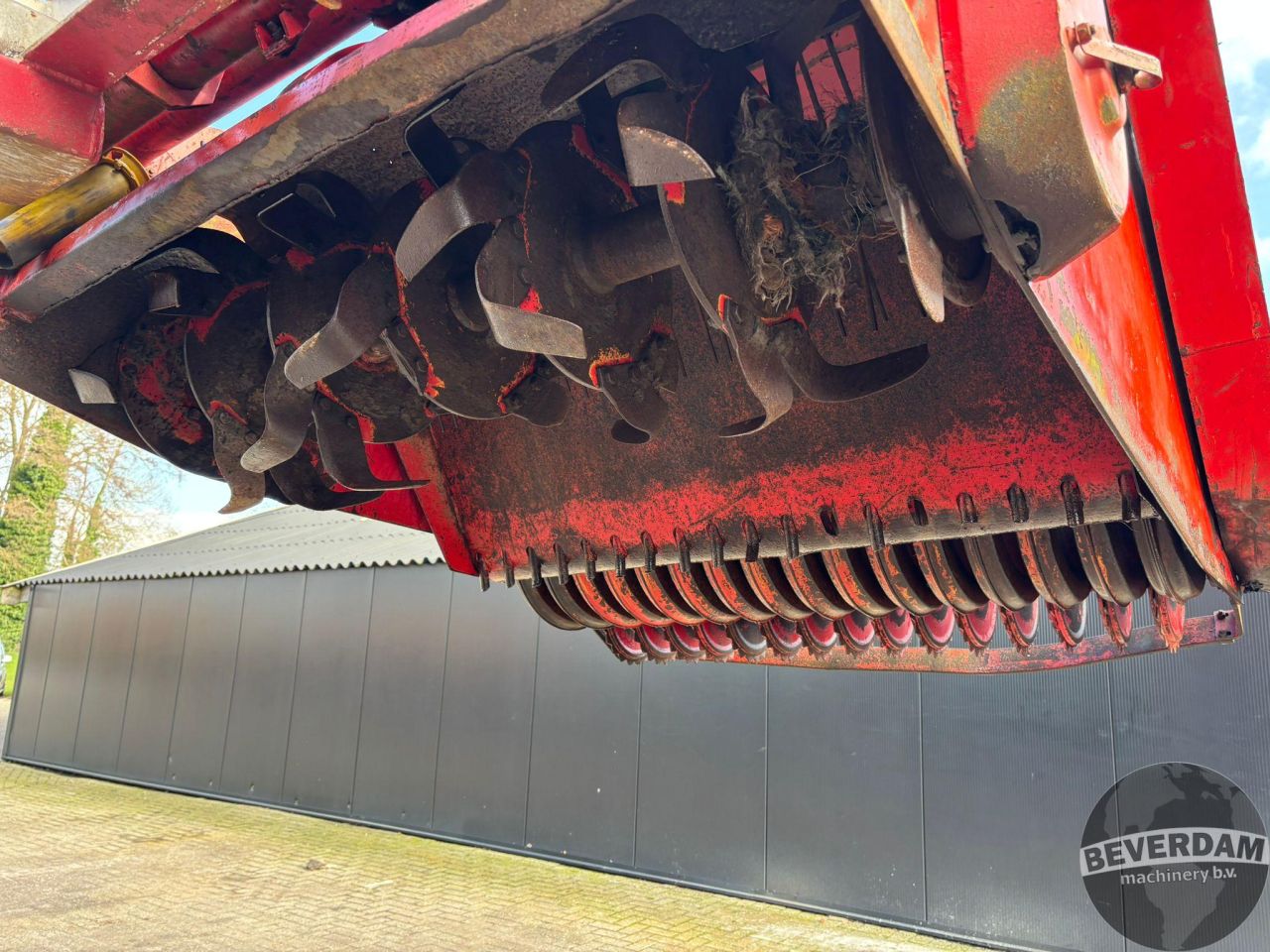 Lely overtop zaaifrees