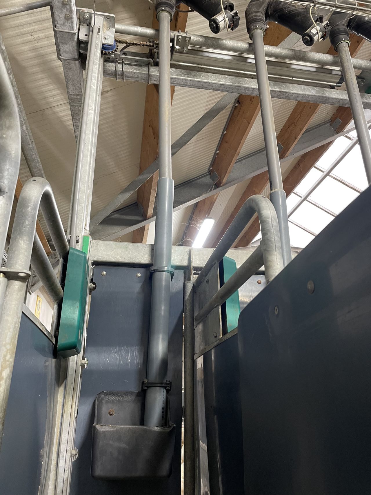 Westfalia / GEA melkstal voor geiten en schapen