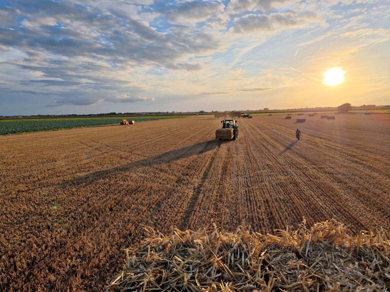 Hack balen verzamel set