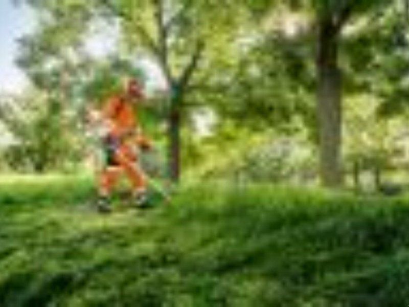 Stihl BENZIN MOTORSENSE FS94C-E