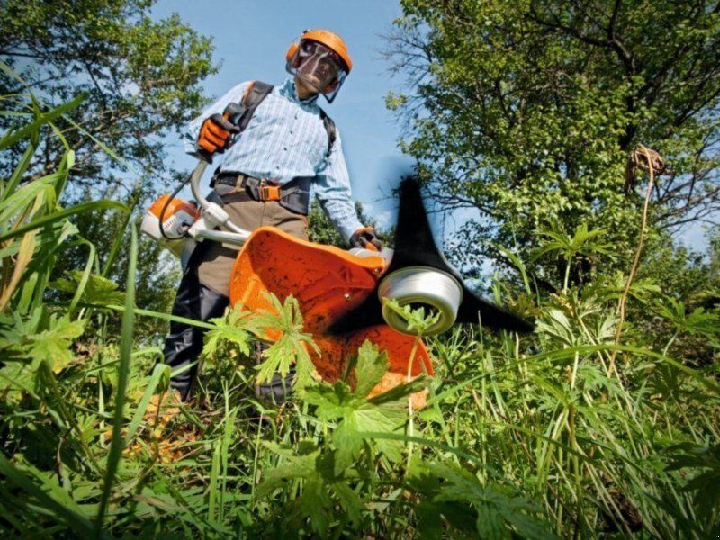 Stihl BENZIN MOTORSENSE FS 240