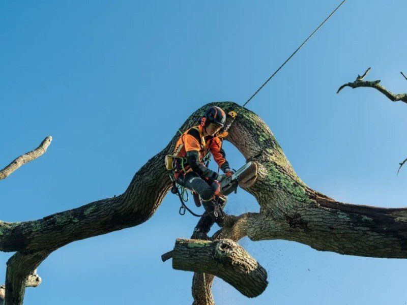 Husqvarna AKKU MOTORSÄGE T540IXPG 14