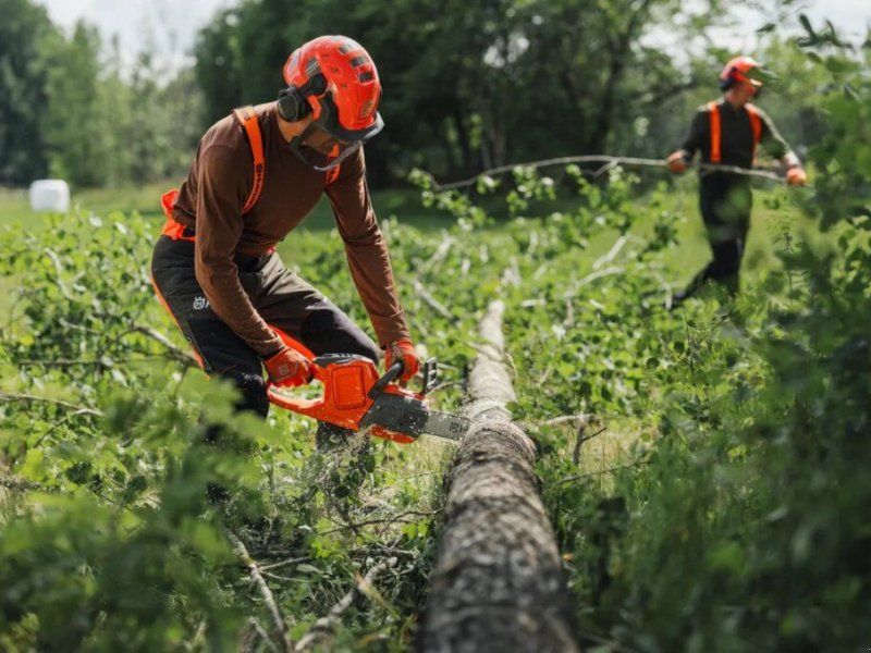 Husqvarna AKKU MOTORSÄGE 435i 16