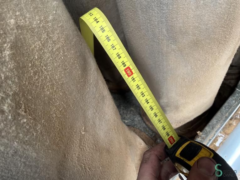 Extraction Disa 2002