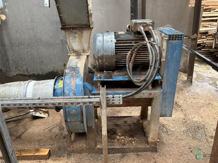 Extraction Disa 2002