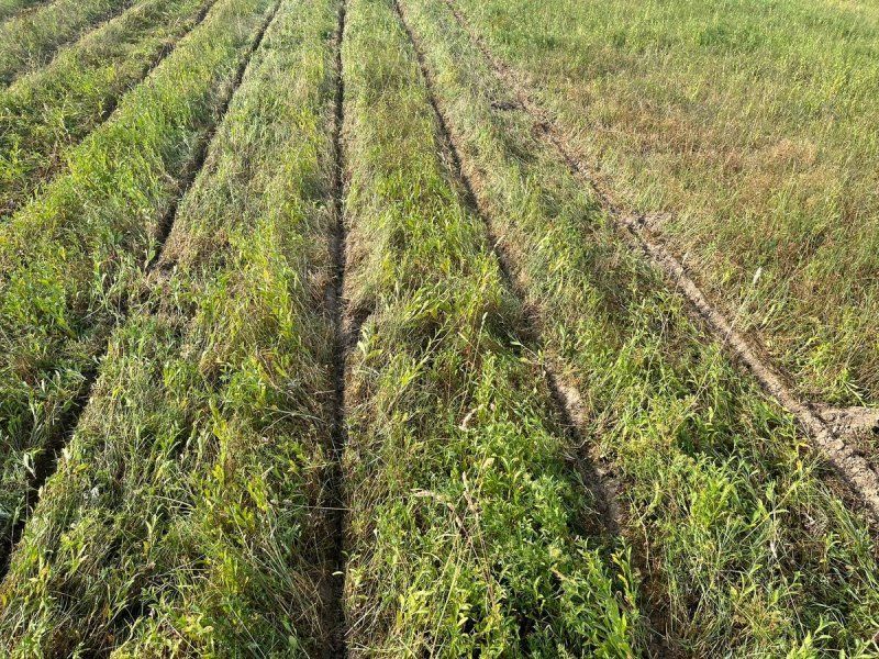 SMS Talon Green 300/4