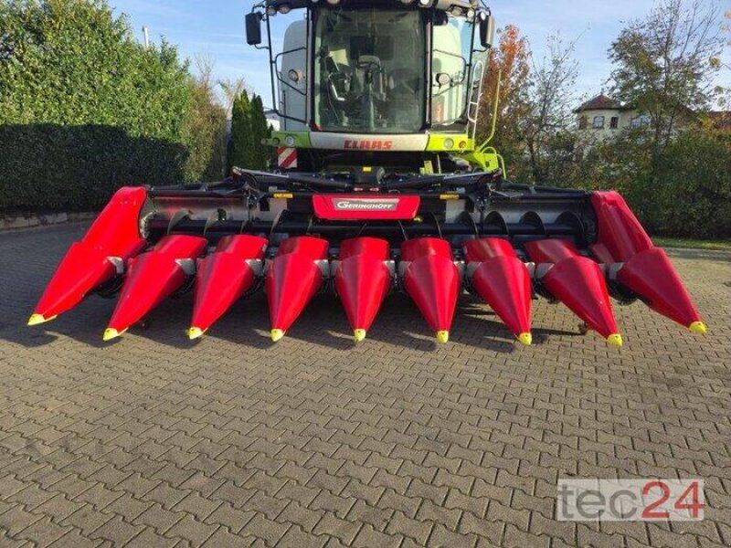 Geringhoff Mais Star Horizon ( MSH ) 800 FB