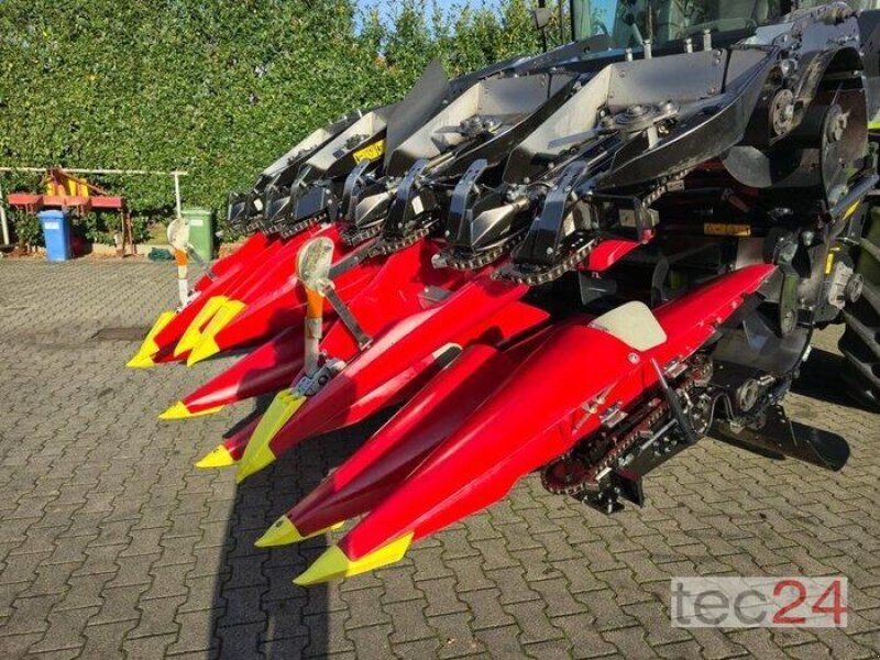 Geringhoff Mais Star Horizon ( MSH ) 800 FB