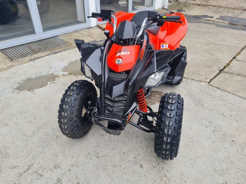 Can Am DS 2x4 250 4ST RD Int23 KINDER ATV