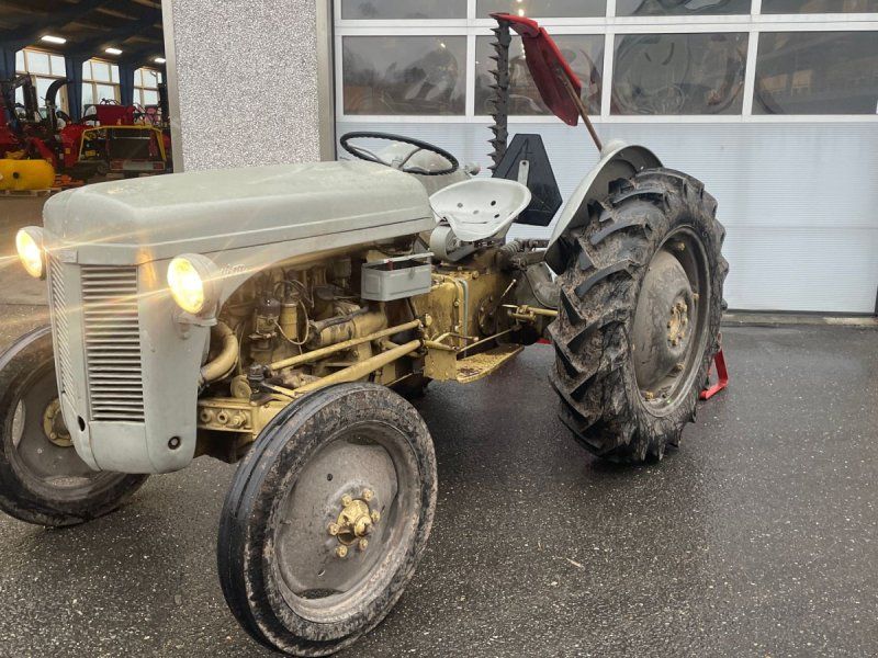 Massey Ferguson 31