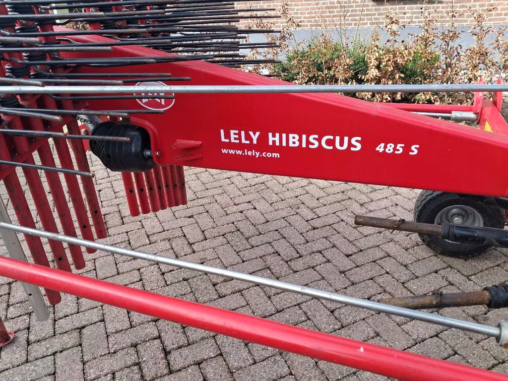 Lely Hibiscus 485 s hark