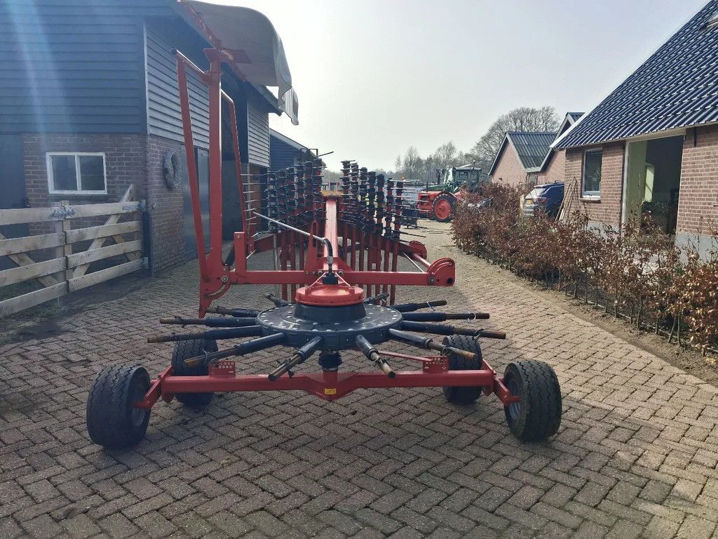 Lely Hibiscus 485 s hark