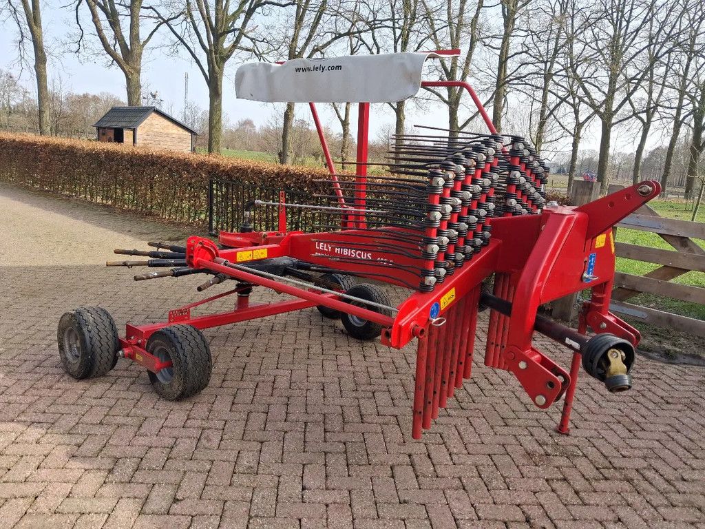 Lely Hibiscus 485 s hark