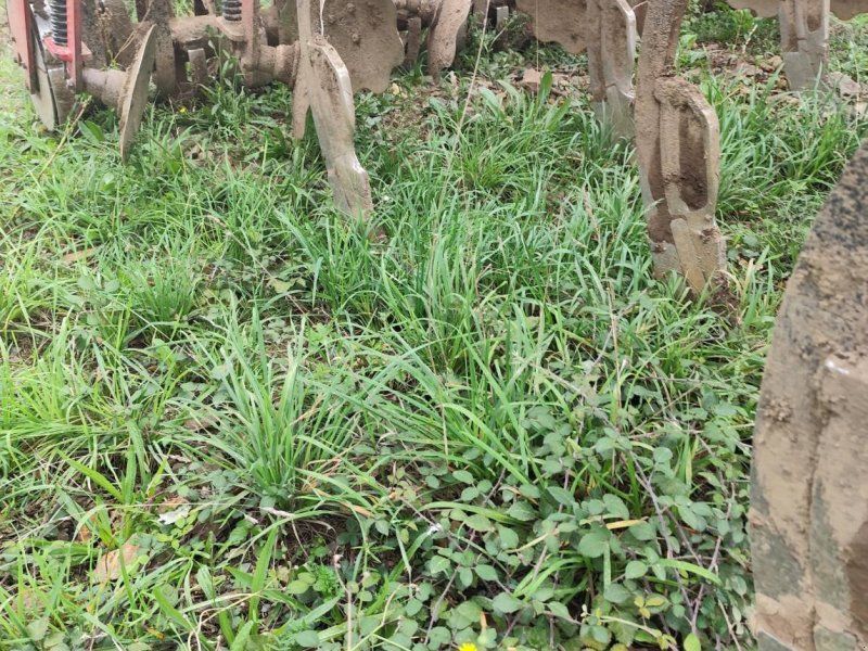 Horsch TERRANO 3.5 FX