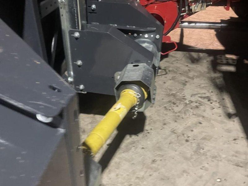 Dominoni maispflücker 8 reiher