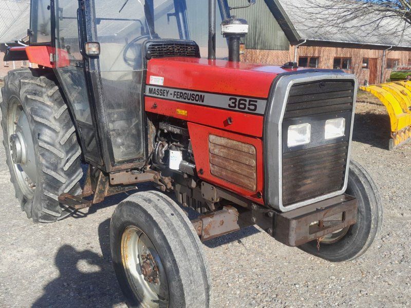 Massey Ferguson 365 365