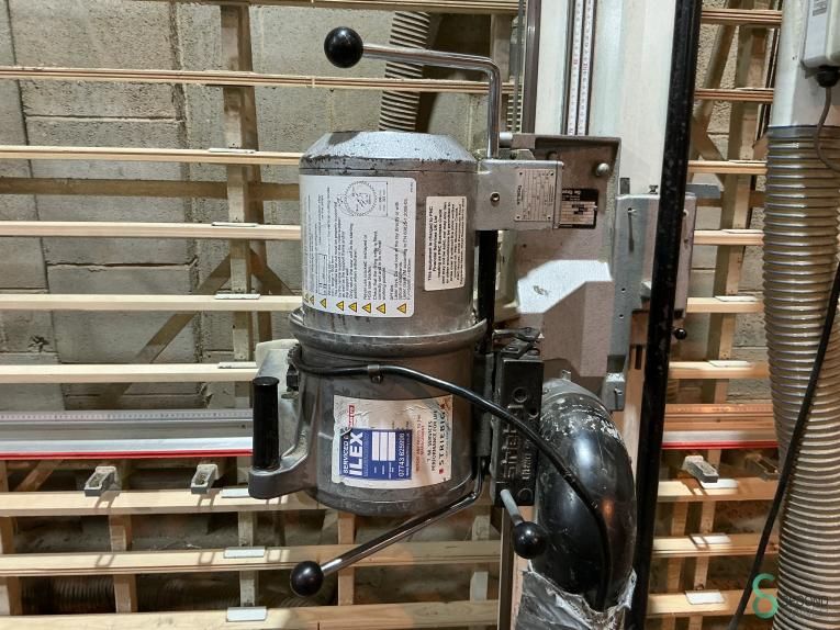 Vertikale Plattensägen Striebig Econom II 5206 E 2005