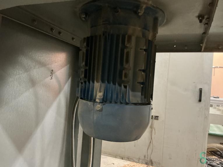 Absaugungen Air plants