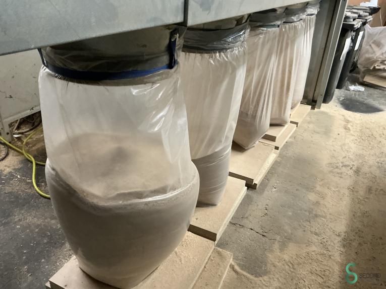 Absaugungen Air plants