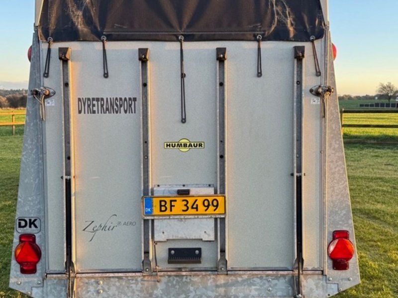 Humbaur Zephir  Heste