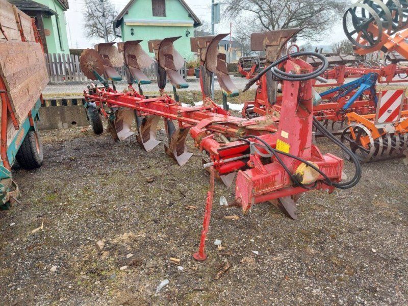 Vogel & Noot &  5 SCHARIG