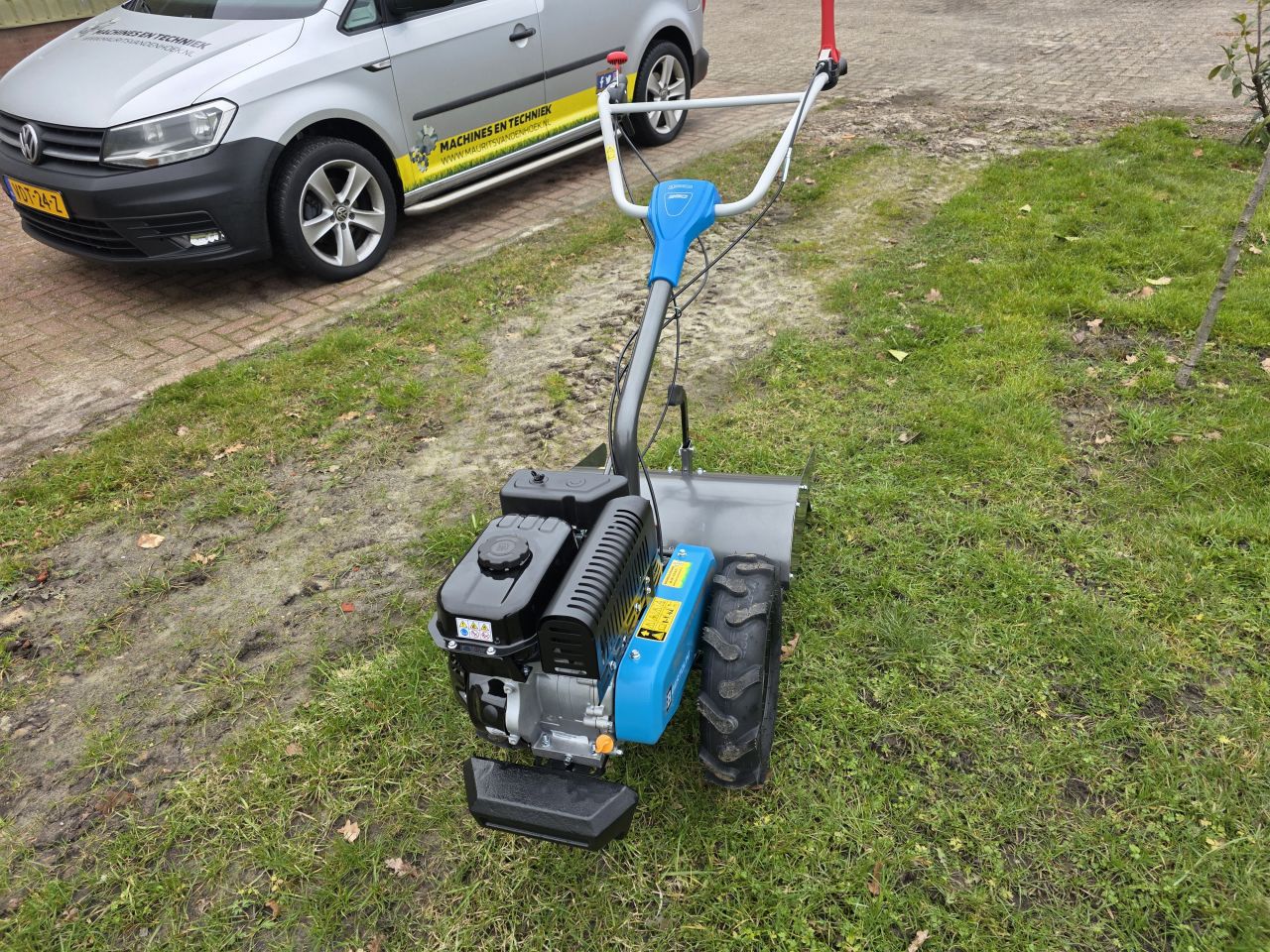 Bertolini Tuinfrees Frees BT350