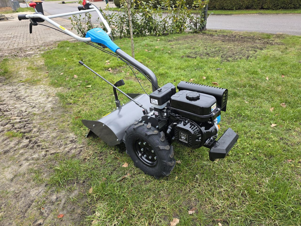 Bertolini Tuinfrees Frees BT350