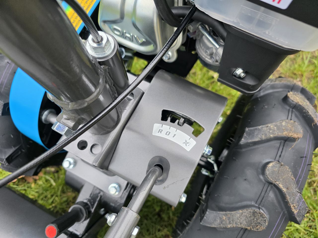 Bertolini Tuinfrees Frees BT350